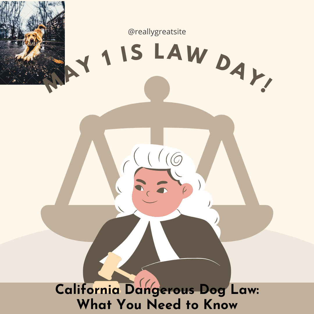 Dog Bite Lawyer in San Francisco: How to Find the Right Legal Help