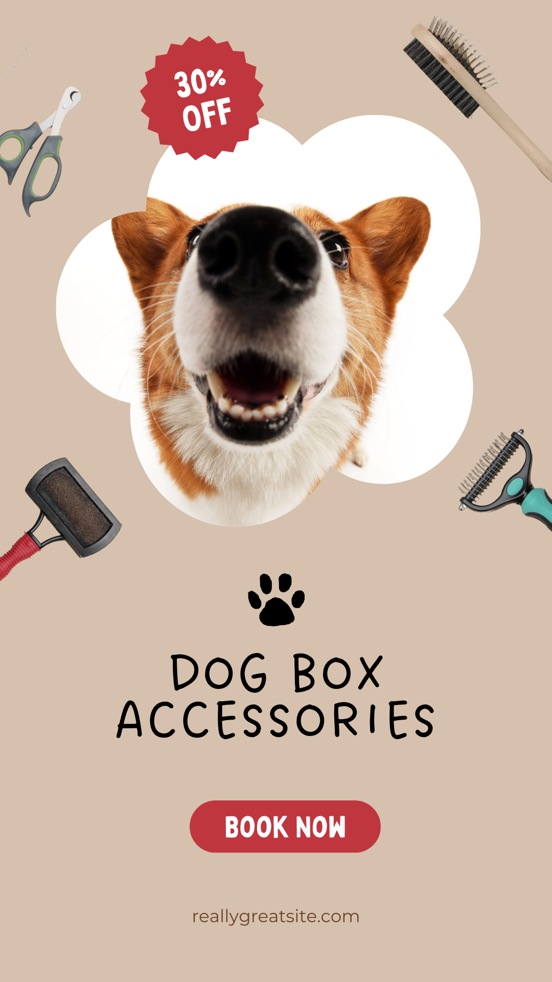 Dog Box Accessories: Essential Add-Ons for Comfort, Safety, and Convenience